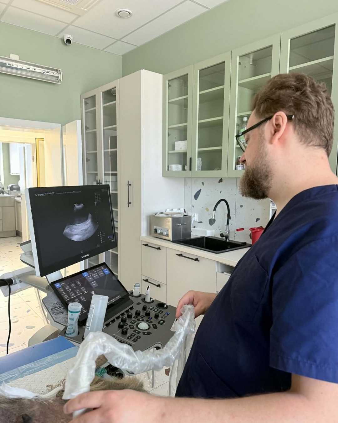 Ortopedia weterynaryjna - diagnostyka w przychodni weterynaryjnej Partner-Vet Lisków